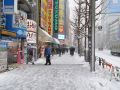 16年ぶりの大雪に見舞われた東京、2月8日から9日の秋葉原の様子