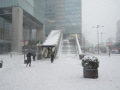 16年ぶりの大雪に見舞われた東京、2月8日から9日の秋葉原の様子