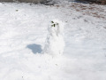 16年ぶりの大雪に見舞われた東京、2月8日から9日の秋葉原の様子