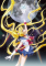 2014夏アニメ「美少女戦士セーラームーン Crystal」、メインキャスト発表！ 三石琴乃（月野う...